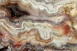 Polished Crazy Lace Agate Section - Mexico #326145-1